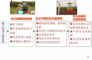 初級農產品原料食品安全風險 農藥管理