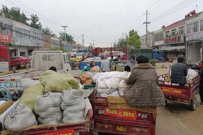 薇婭偷逃稅被罰13.41億,農(nóng)民網(wǎng)上賣菜要繳稅嗎?看看規(guī)定咋說